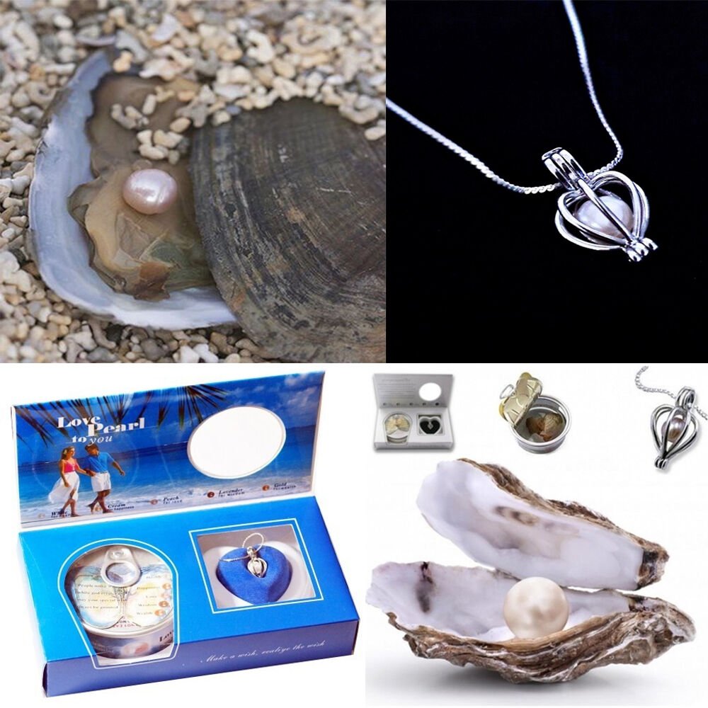 İNCİ KOLYE İSTİRİDYE İÇİNDE